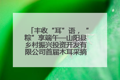 丰收“耳”语，“粽”享端午—山阳县乡村振兴投资开发有限公司首届木耳采摘活动盛大启幕