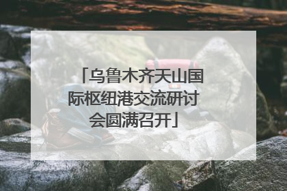 乌鲁木齐天山国际枢纽港交流研讨会圆满召开