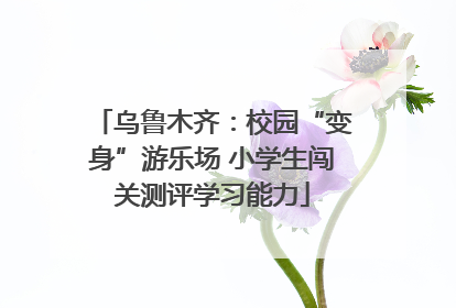 乌鲁木齐：校园“变身”游乐场 小学生闯关测评学习能力