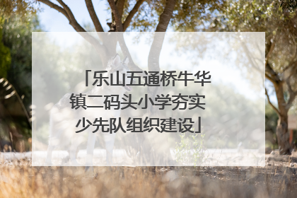 乐山五通桥牛华镇二码头小学夯实少先队组织建设