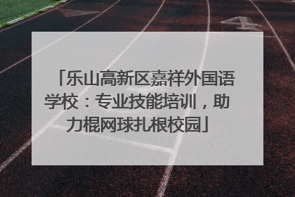 乐山高新区嘉祥外国语学校：专业技能培训，助力棍网球扎根校园
