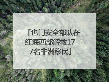 也门安全部队在红海西部解救177名非洲移民