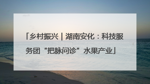 乡村振兴｜湖南安化：科技服务团“把脉问诊”水果产业