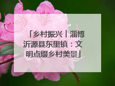 乡村振兴︱淄博沂源县东里镇：文明点缀乡村美景