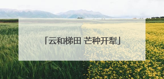 云和梯田 芒种开犁