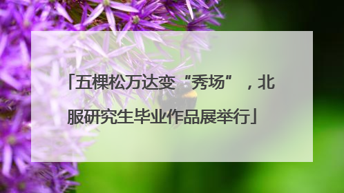 五棵松万达变“秀场”，北服研究生毕业作品展举行