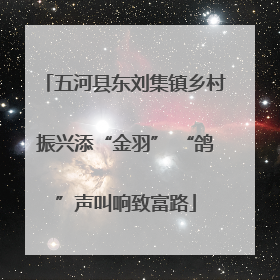 五河县东刘集镇乡村振兴添“金羽” “鸽”声叫响致富路