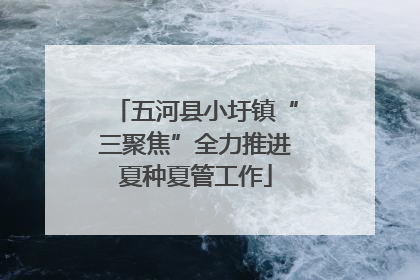 五河县小圩镇“三聚焦”全力推进夏种夏管工作
