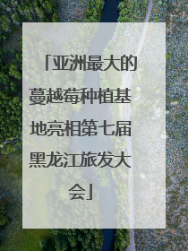 亚洲最大的蔓越莓种植基地亮相第七届黑龙江旅发大会