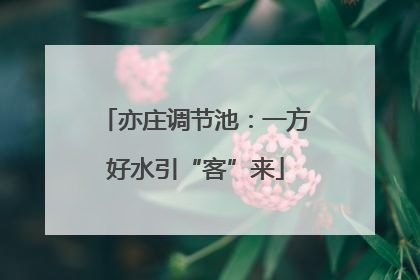 亦庄调节池：一方好水引“客”来