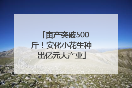 亩产突破500斤！安化小花生种出亿元大产业