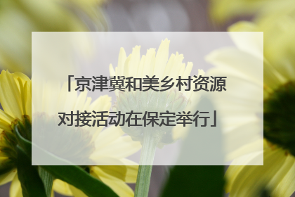 京津冀和美乡村资源对接活动在保定举行