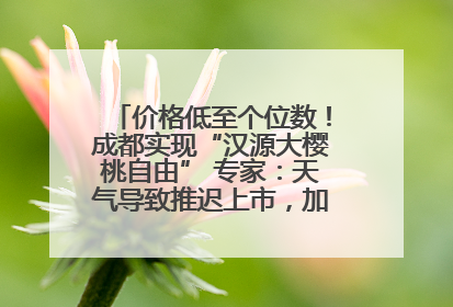 价格低至个位数！成都实现“汉源大樱桃自由” 专家：天气导致推迟上市，加之产量大