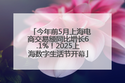今年前5月上海电商交易额同比增长6.1%！2025上海数字生活节开幕