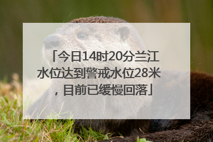 今日14时20分兰江水位达到警戒水位28米，目前已缓慢回落