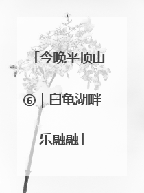 今晚平顶山⑥｜白龟湖畔乐融融