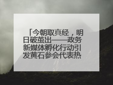 今朝取真经，明日破茧出——政务新媒体孵化行动引发黄石参会代表热烈反响