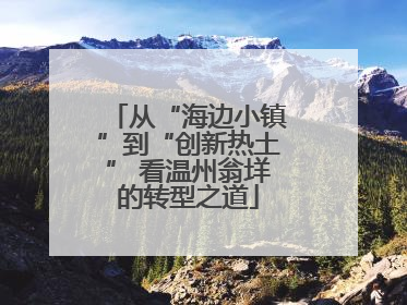 从“海边小镇”到“创新热土” 看温州翁垟的转型之道