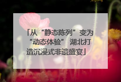 从“静态陈列”变为“动态体验” 湖北打造沉浸式非遗盛宴