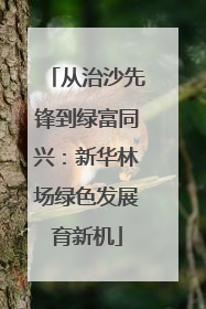 从治沙先锋到绿富同兴：新华林场绿色发展育新机