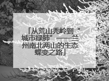 从荒山秃岭到“城市绿肺”——兰州南北两山的生态蝶变之路