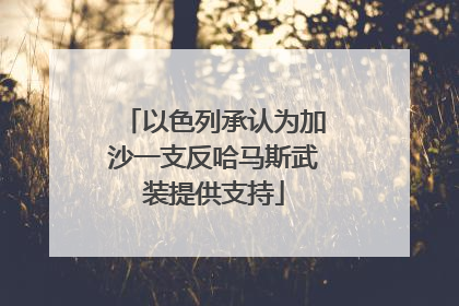以色列承认为加沙一支反哈马斯武装提供支持