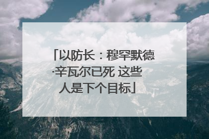 以防长：穆罕默德·辛瓦尔已死 这些人是下个目标