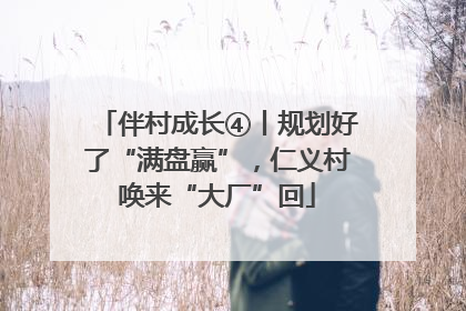 伴村成长④丨规划好了“满盘赢”，仁义村唤来“大厂”回