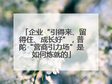 企业“引得来、留得住、成长好”，普陀“营商引力场”是如何炼就的