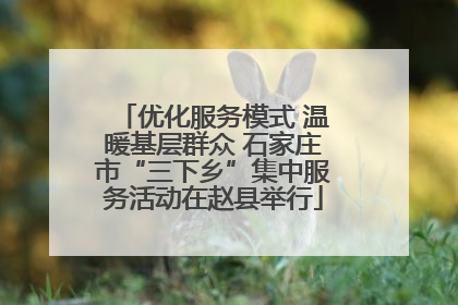 优化服务模式 温暖基层群众 石家庄市“三下乡”集中服务活动在赵县举行