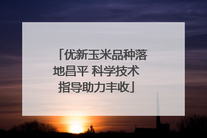 优新玉米品种落地昌平 科学技术指导助力丰收