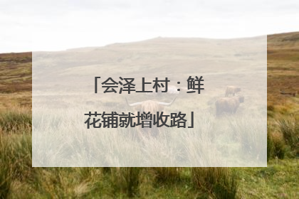 会泽上村：鲜花铺就增收路