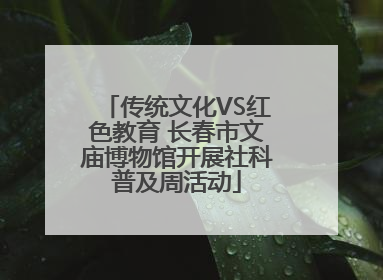 传统文化VS红色教育 长春市文庙博物馆开展社科普及周活动
