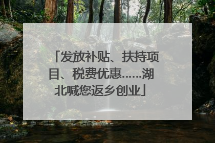 发放补贴、扶持项目、税费优惠……湖北喊您返乡创业