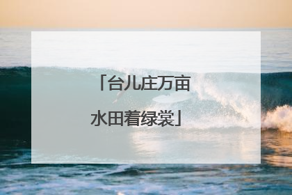 台儿庄万亩水田着绿裳