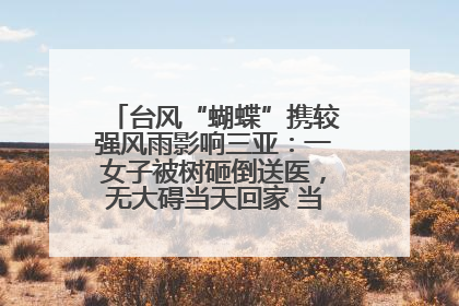 台风“蝴蝶”携较强风雨影响三亚：一女子被树砸倒送医，无大碍当天回家 当地已紧急清障