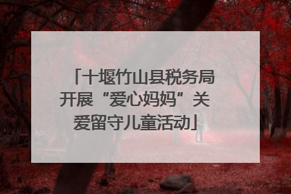 十堰竹山县税务局开展“爱心妈妈”关爱留守儿童活动