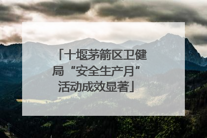 十堰茅箭区卫健局“安全生产月”活动成效显著