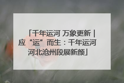 千年运河 万象更新｜应“运”而生：千年运河河北沧州段展新颜