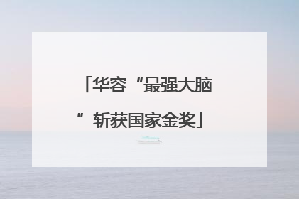华容“最强大脑”斩获国家金奖