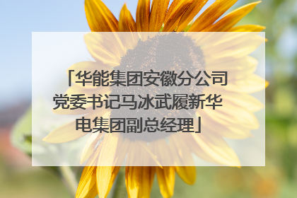 华能集团安徽分公司党委书记马冰武履新华电集团副总经理
