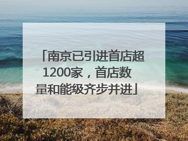南京已引进首店超1200家，首店数量和能级齐步并进