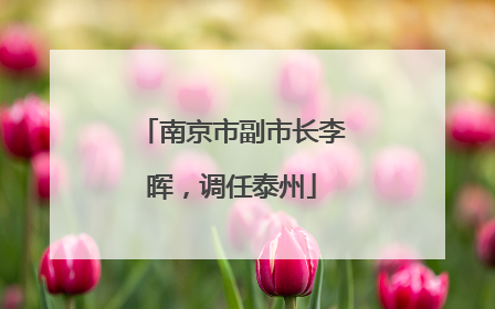 南京市副市长李晖，调任泰州