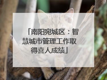 南阳宛城区：智慧城市管理工作取得喜人成绩