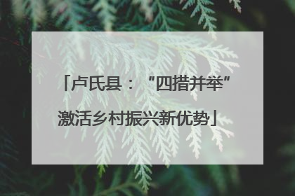 卢氏县：“四措并举”激活乡村振兴新优势