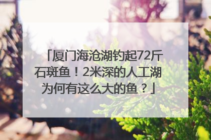 厦门海沧湖钓起72斤石斑鱼！2米深的人工湖为何有这么大的鱼？