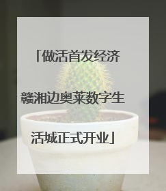 做活首发经济 赣湘边奥莱数字生活城正式开业
