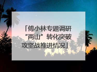 傅小林专题调研“两山”转化突破攻坚战推进情况