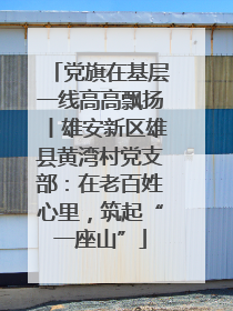 党旗在基层一线高高飘扬丨雄安新区雄县黄湾村党支部：在老百姓心里，筑起“一座山”