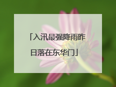 入汛最强降雨昨日落在东华门